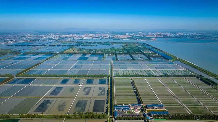 航拍高淳固城湖螃蟹核心區(qū)。高淳區(qū)融媒體中心供圖